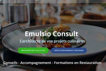 Site web d'Emulsio Consult